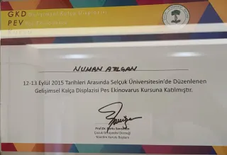 Op. Dr. Numan Atılgan profilinde yer alan galeri fotoğrafı.