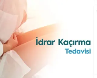 Prof. Dr. Murat Öz profilinde yer alan galeri fotoğrafı.