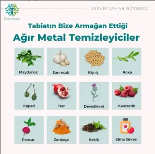 Uzm. Dr. Ülviye Güvendi profilinde yer alan galeri fotoğrafı.