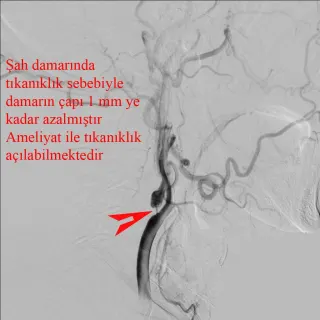 Doç. Dr. Fatih Yakar profilinde yer alan galeri fotoğrafı.