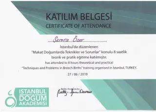 Op. Dr. Semra Özer profilinde yer alan galeri fotoğrafı.
