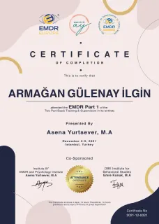 Kl. Psk. Armağan Gülenay profilinde yer alan galeri fotoğrafı.