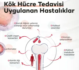 Uzm. Dr. Fatma Tuğba Altuner Kalli profilinde yer alan galeri fotoğrafı.