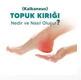 Prof. Dr. Serdar Akalın profilinde yer alan galeri fotoğrafı.