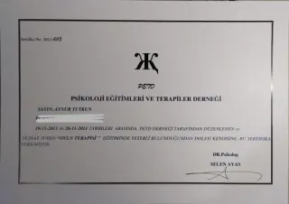 Psk. Aynur Erdoğanoğlu profilinde yer alan galeri fotoğrafı.