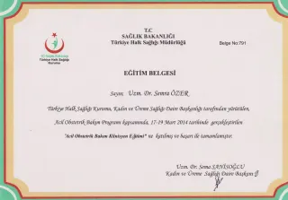 Op. Dr. Semra Özer profilinde yer alan galeri fotoğrafı.
