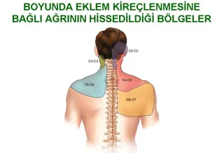 Prof. Dr. Mehmet Arif Yeğin profilinde yer alan galeri fotoğrafı.