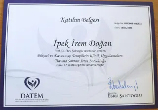 Psk. İpek İrem Doğan profilinde yer alan galeri fotoğrafı.