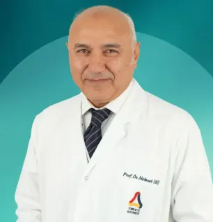 Prof. Dr. Mehmet İbiş profilinde yer alan galeri fotoğrafı.