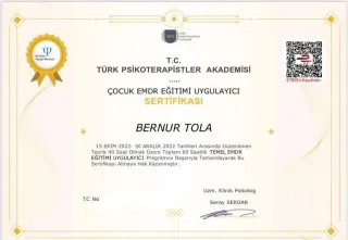 Psk. Bernur Tola profilinde yer alan galeri fotoğrafı.