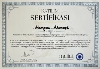 Psk. Meryem Akmeşe profilinde yer alan galeri fotoğrafı.