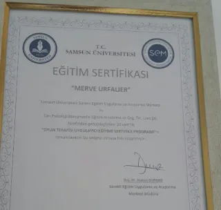 Psk. Merve Urfalıer profilinde yer alan galeri fotoğrafı.