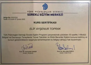 Kl. Psk. Elif Ayşenur Taşoğlan profilinde yer alan galeri fotoğrafı.