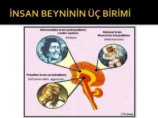 Doç. Dr. Hakan Balıbey profilinde yer alan galeri fotoğrafı.