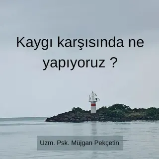 Kl. Psk. Müjgan Pekçetin profilinde yer alan galeri fotoğrafı.