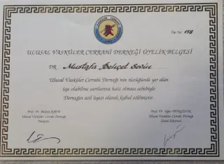 Prof. Dr. Mustafa Behçet Sevin profilinde yer alan galeri fotoğrafı.