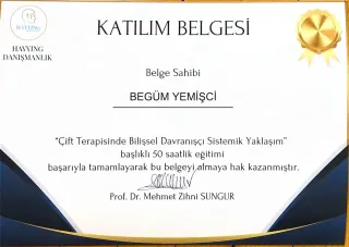 Psk. Begüm Yemişci profilinde yer alan galeri fotoğrafı.