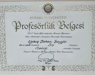 Prof. Dr. Tarkan Soygür profilinde yer alan galeri fotoğrafı.