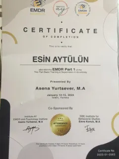 Kl. Psk. Esin Aytülün Yılmaz profilinde yer alan galeri fotoğrafı.