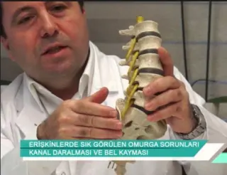 Prof. Dr. Şevki Erdem profilinde yer alan galeri fotoğrafı.