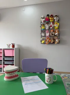 Uzm. Dkt. Elif Yılmaz profilinde yer alan galeri fotoğrafı.
