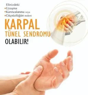 Fzt. Ruken Anar profilinde yer alan galeri fotoğrafı.