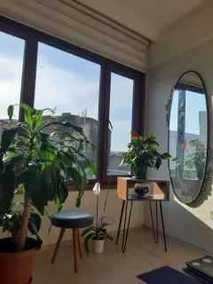 Dyt. Fehime Arı profilinde yer alan galeri fotoğrafı.