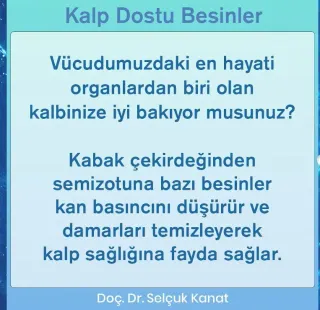 Doç. Dr. Selçuk Kanat profilinde yer alan galeri fotoğrafı.