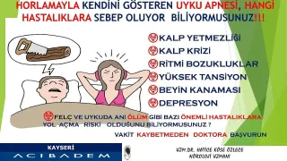 Doç. Dr. Hatice Köse Özlece profilinde yer alan galeri fotoğrafı.