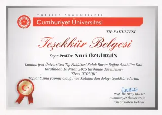 Prof. Dr. Nuri Özgirgin profilinde yer alan galeri fotoğrafı.