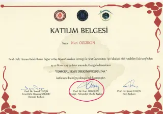 Prof. Dr. Nuri Özgirgin profilinde yer alan galeri fotoğrafı.