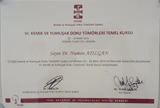 Op. Dr. Numan Atılgan profilinde yer alan galeri fotoğrafı.