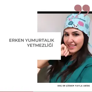 Prof. Dr. Çiğdem Yayla Abide profilinde yer alan galeri fotoğrafı.