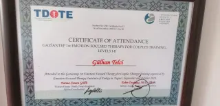 Kl. Psk. Gülhan Güçlü Telci profilinde yer alan galeri fotoğrafı.