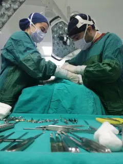 Op. Dr. Fatih Arslan profilinde yer alan galeri fotoğrafı.