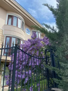 Psk. Seda Can profilinde yer alan galeri fotoğrafı.