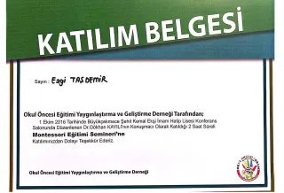 Kl. Psk. Ezgi Taşdemir Işık profilinde yer alan galeri fotoğrafı.