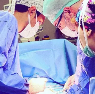 Dr. Öğr. Üyesi Mehmet Ali Melik profilinde yer alan galeri fotoğrafı.