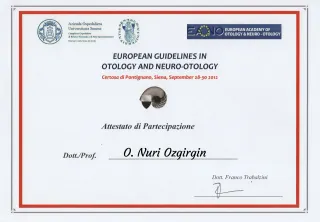Prof. Dr. Nuri Özgirgin profilinde yer alan galeri fotoğrafı.