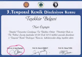 Prof. Dr. Nuri Özgirgin profilinde yer alan galeri fotoğrafı.