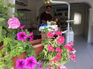 Dt. Murat Lale profilinde yer alan galeri fotoğrafı.