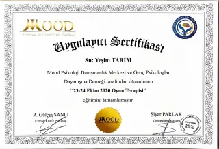 Uzm. Psk. Yeşim Tarım profilinde yer alan galeri fotoğrafı.