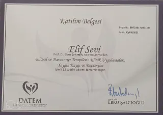 Psk. Elif Sevi Adıgüzel profilinde yer alan galeri fotoğrafı.