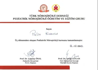 Doç. Dr. Pelin Kuzucu profilinde yer alan galeri fotoğrafı.