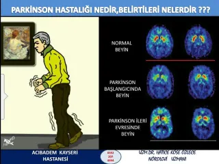 Doç. Dr. Hatice Köse Özlece profilinde yer alan galeri fotoğrafı.