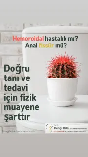 Op. Dr. Bengi Balcı profilinde yer alan galeri fotoğrafı.