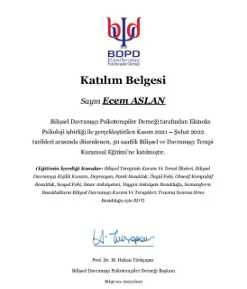 Kl. Psk. Ecem Aslan Konak profilinde yer alan galeri fotoğrafı.