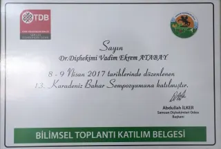 Uzm. Dr. Vadim Atabay profilinde yer alan galeri fotoğrafı.