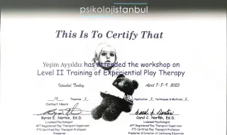 Kl. Psk. Yeşim Ayyıldız profilinde yer alan galeri fotoğrafı.