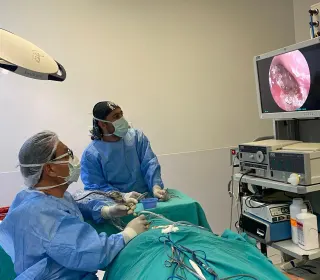 Prof. Dr. Ali Özdek profilinde yer alan galeri fotoğrafı.